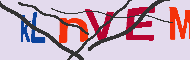 キャプチャ(CAPTCHA)認証コード