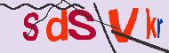キャプチャ(CAPTCHA)認証コード