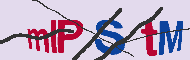 キャプチャ(CAPTCHA)認証コード