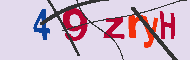 キャプチャ(CAPTCHA)認証コード