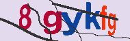 キャプチャ(CAPTCHA)認証コード