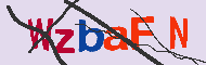 キャプチャ(CAPTCHA)認証コード