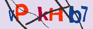 キャプチャ(CAPTCHA)認証コード