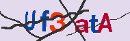 キャプチャ(CAPTCHA)認証コード