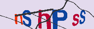 キャプチャ(CAPTCHA)認証コード