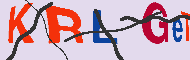 キャプチャ(CAPTCHA)認証コード