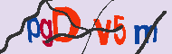 キャプチャ(CAPTCHA)認証コード