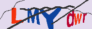 キャプチャ(CAPTCHA)認証コード