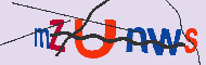 キャプチャ(CAPTCHA)認証コード