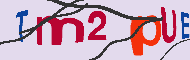 キャプチャ(CAPTCHA)認証コード