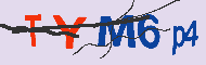 キャプチャ(CAPTCHA)認証コード
