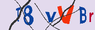 キャプチャ(CAPTCHA)認証コード