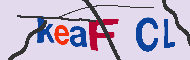 キャプチャ(CAPTCHA)認証コード