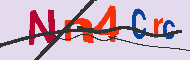 キャプチャ(CAPTCHA)認証コード