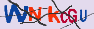 キャプチャ(CAPTCHA)認証コード