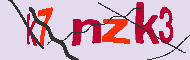 キャプチャ(CAPTCHA)認証コード