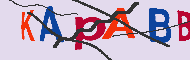 キャプチャ(CAPTCHA)認証コード