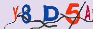 キャプチャ(CAPTCHA)認証コード