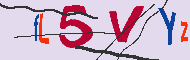 キャプチャ(CAPTCHA)認証コード