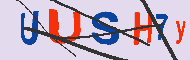 キャプチャ(CAPTCHA)認証コード