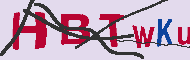 キャプチャ(CAPTCHA)認証コード